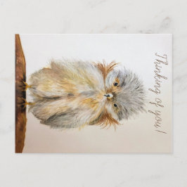 Tarjeta postal de búho bebé con versículo de la Bi