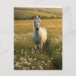 Tarjeta postal de caballo blanco en prado de flore