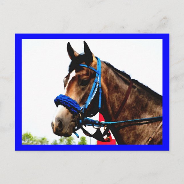 Tarjeta postal de caballo de carreras (Anverso)