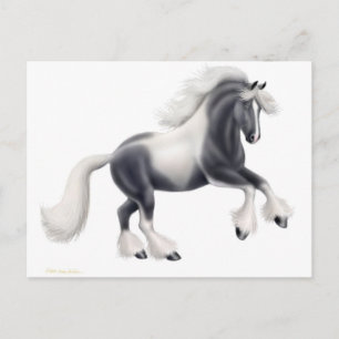 Tarjeta postal de caballo Gypsy Vanner