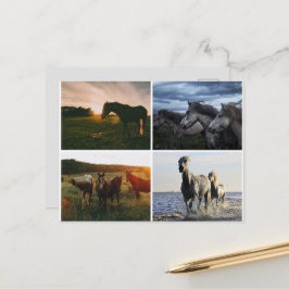 TARJETA POSTAL DE CABALLOS ELEGANTS
