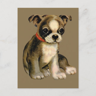 Tarjeta Postal de Cachorro Antiguo