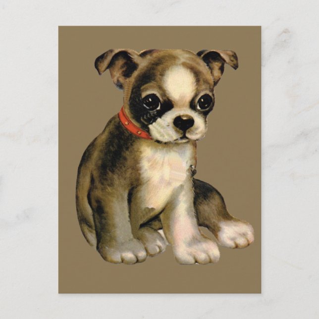 Tarjeta Postal de Cachorro Antiguo (Anverso)