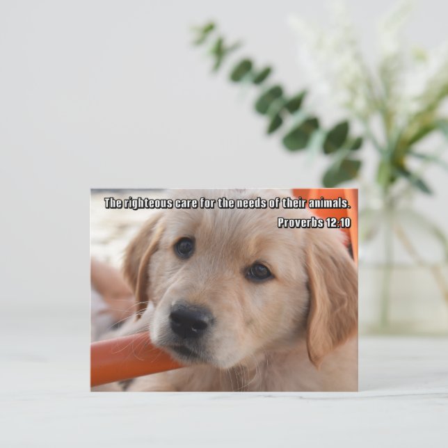 Tarjeta Postal de Cachorro Cristiano (Anverso de pie)