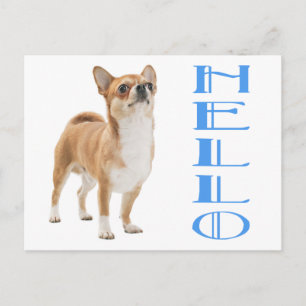Tarjeta Postal de Cachorro de Chihuahua Hola