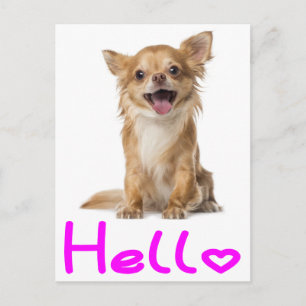 Tarjeta Postal de Cachorro de Chihuahua Hola