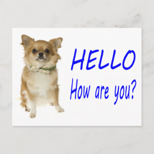 Tarjeta Postal de Cachorro de Chihuahua Hola