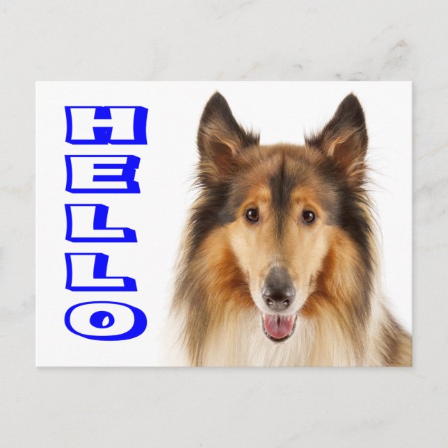Tarjeta postal de cachorro de Collie (Anverso)