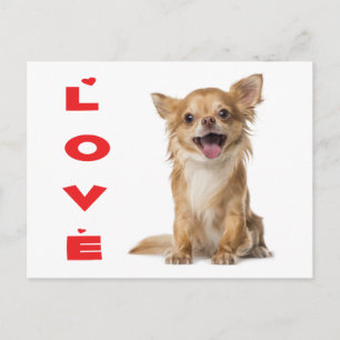 Tarjeta Postal de Cachorro de Perro Chihuahua de P