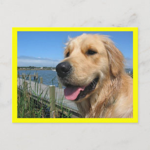 Tarjeta Postal de Cachorro de Perro Retriever Dora