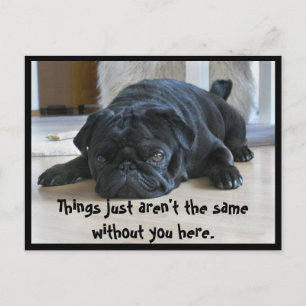 Tarjeta postal de cachorro de pug negro lindo y pe