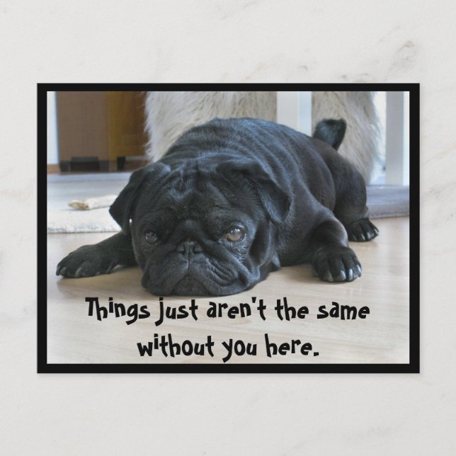 Tarjeta postal de cachorro de pug negro lindo y pe (Anverso)