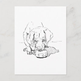 Tarjeta Postal de Cachorro Labrador para Amantes d