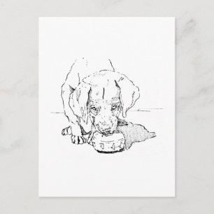 Tarjeta Postal de Cachorro Labrador para Amantes d