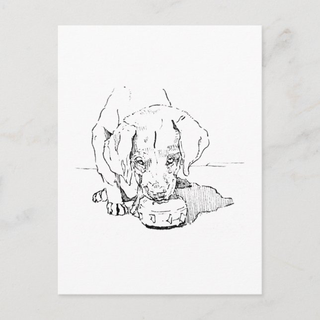 Tarjeta Postal de Cachorro Labrador para Amantes d (Anverso)