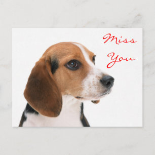 Tarjeta postal de cachorro que te extraña