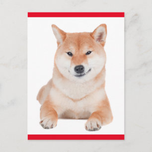 Tarjeta Postal de Cachorro Shiba Inu de Saludo