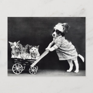 Tarjeta postal de cachorro y gatitos divertidos