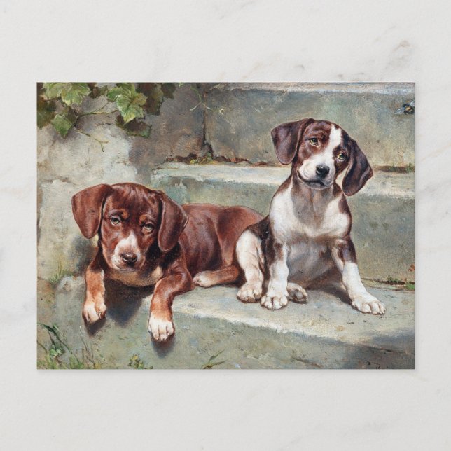 Tarjeta postal de cachorros vintage (Anverso)