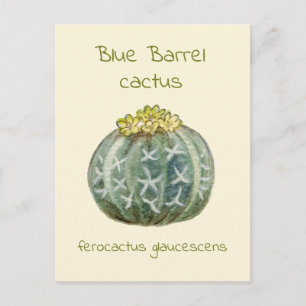 Tarjeta postal de cactus de barril azul