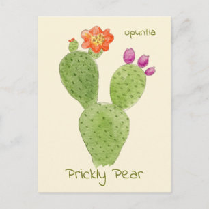Tarjeta postal de cactus de pera espinosa
