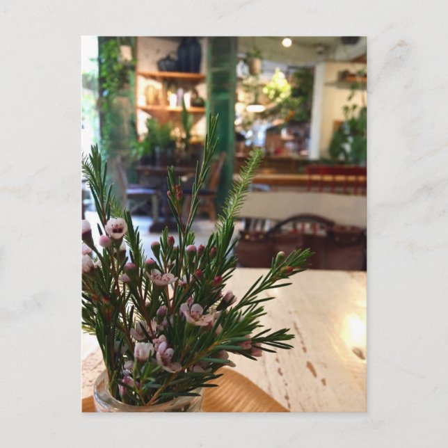 Tarjeta postal de café coreano (Anverso)