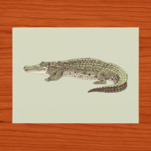 Tarjeta postal de caimán
