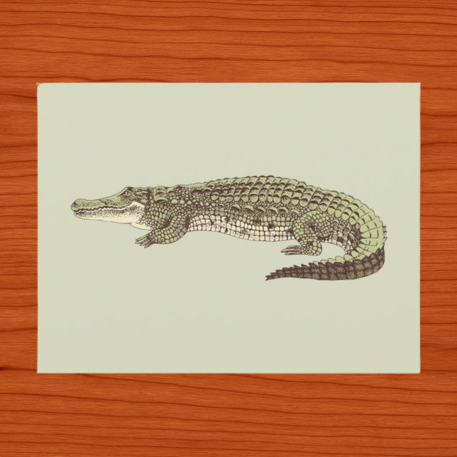 Tarjeta postal de caimán (Subido por el creador)