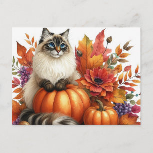 Tarjeta postal de calabazas de hojas de otoño y ga