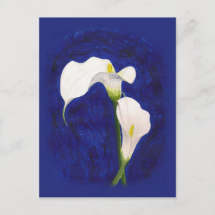 tarjeta postal de calla lilies