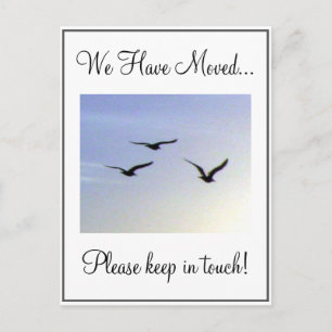 Tarjeta postal de cambio de dirección de pájaros v