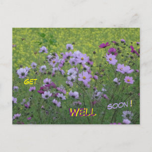 Tarjeta postal de Campo de Cosmea y Colza Recupéra