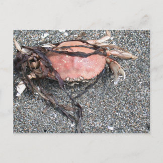 Tarjeta postal de cangrejo