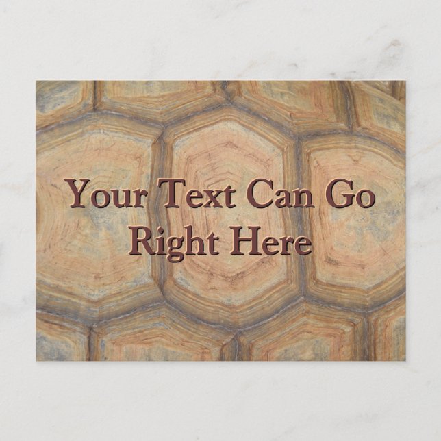 Tarjeta postal de caparazón de tortuga (Anverso)