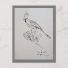 Tarjeta postal de cardenal