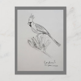 Tarjeta postal de cardenal