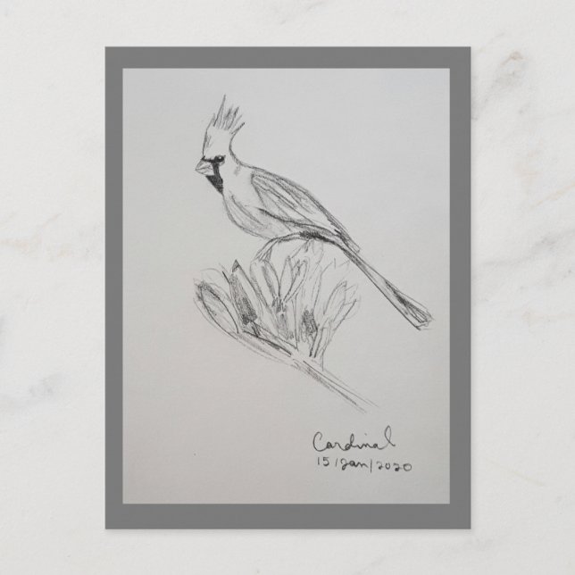 Tarjeta postal de cardenal (Anverso)