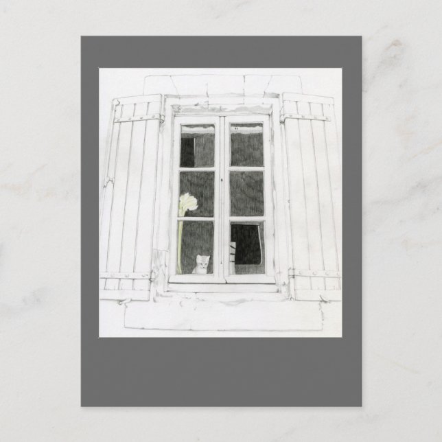 Tarjeta postal de Cat in Window (Anverso)