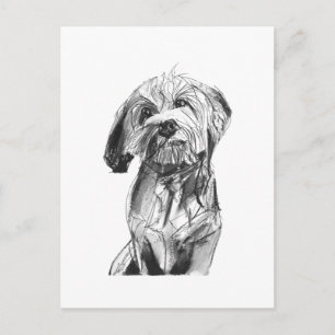Tarjeta postal de Cavapoo – Ilustración de perro c