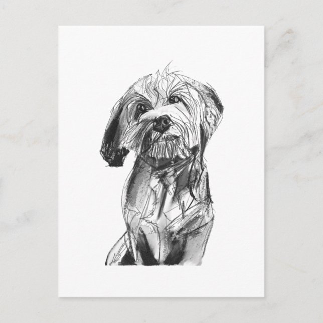 Tarjeta postal de Cavapoo – Ilustración de perro c (Anverso)
