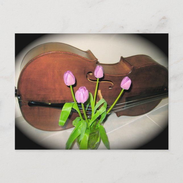 Tarjeta postal de Cello con Tulips (Anverso)
