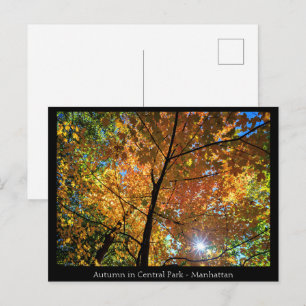 Tarjeta postal de Central Park Manhattan