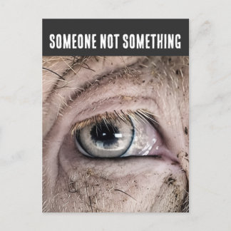 Tarjeta postal de CERDO, ALGUIEN NO ALGO