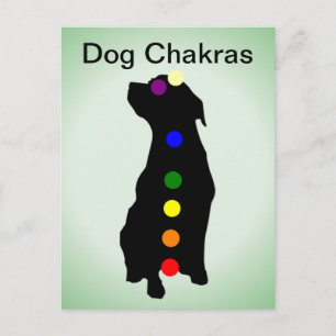 Tarjeta postal de Chakras de perro