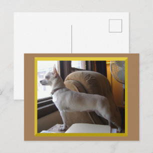 Tarjeta postal de Chihuahua en la oficina