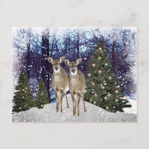 Tarjeta postal de ciervos y árbol de Navidad en un