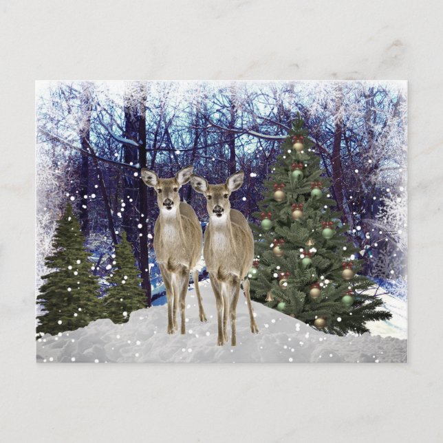 Tarjeta postal de ciervos y árbol de Navidad en un (Anverso)