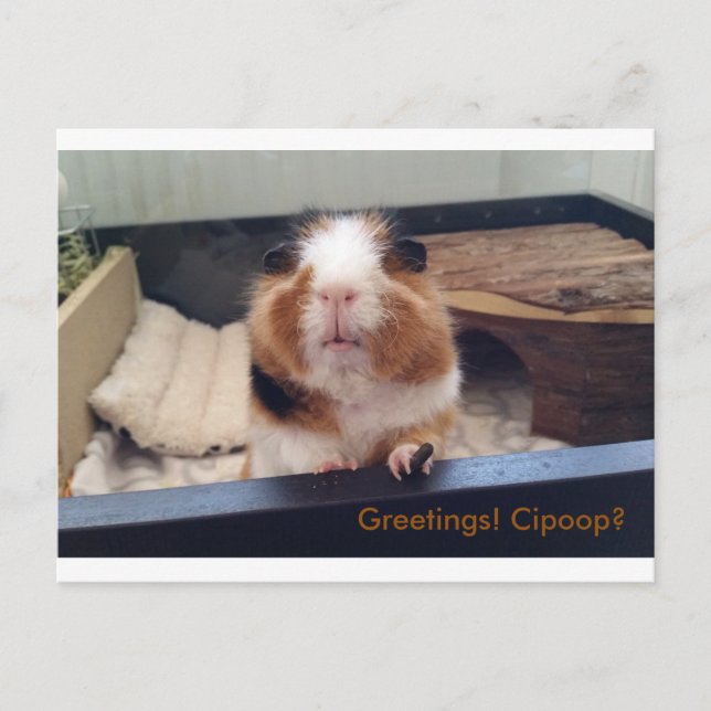 Tarjeta postal de cigarro (Anverso)