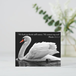 Tarjeta postal de cisne cristiano