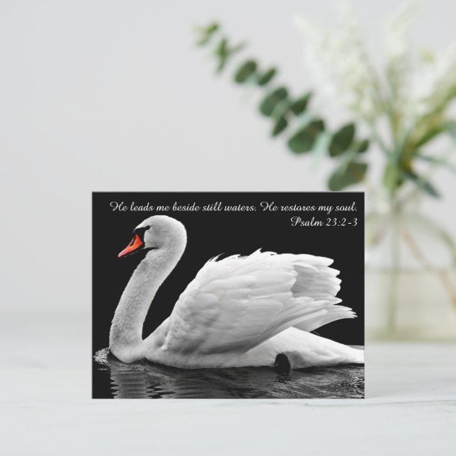 Tarjeta postal de cisne cristiano (Anverso de pie)